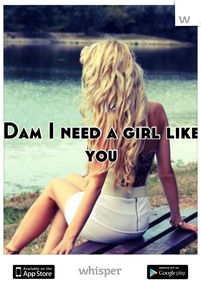 Dam I need a girl like you