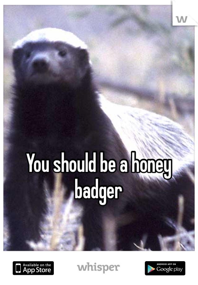 You should be a honey badger