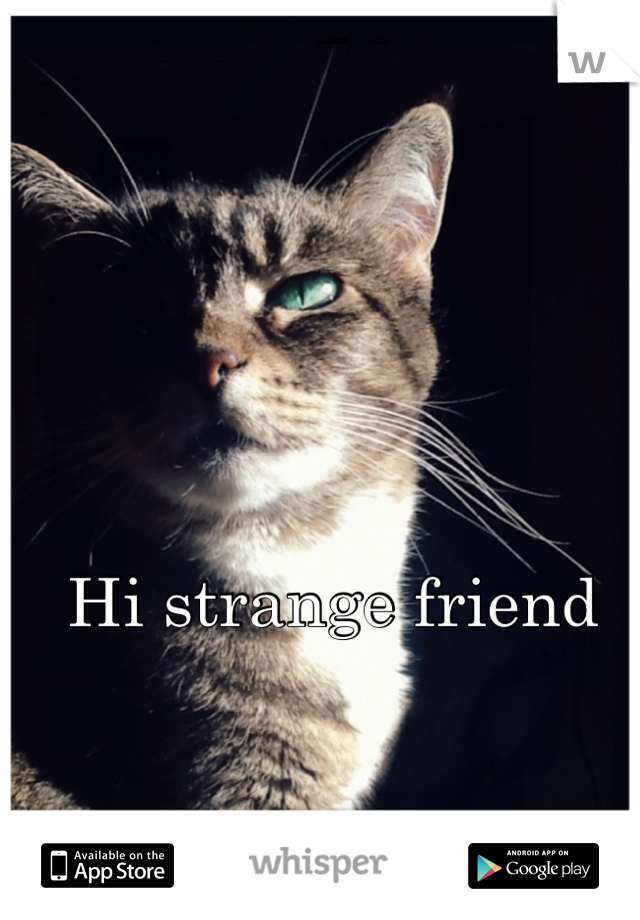 Hi strange friend