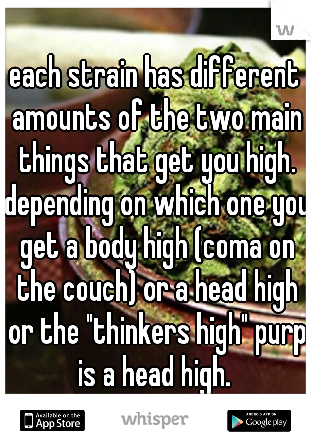 each strain has different amounts of the two main things that get you high. depending on which one you get a body high (coma on the couch) or a head high or the "thinkers high" purp is a head high. 