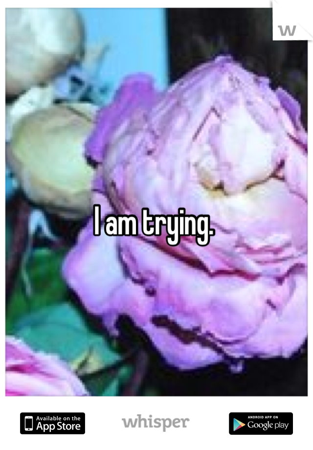 I am trying. 