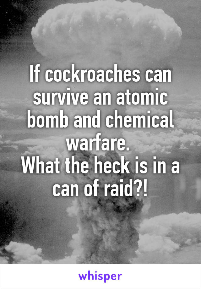 If cockroaches can survive an atomic bomb and chemical warfare. 
What the heck is in a can of raid?!
