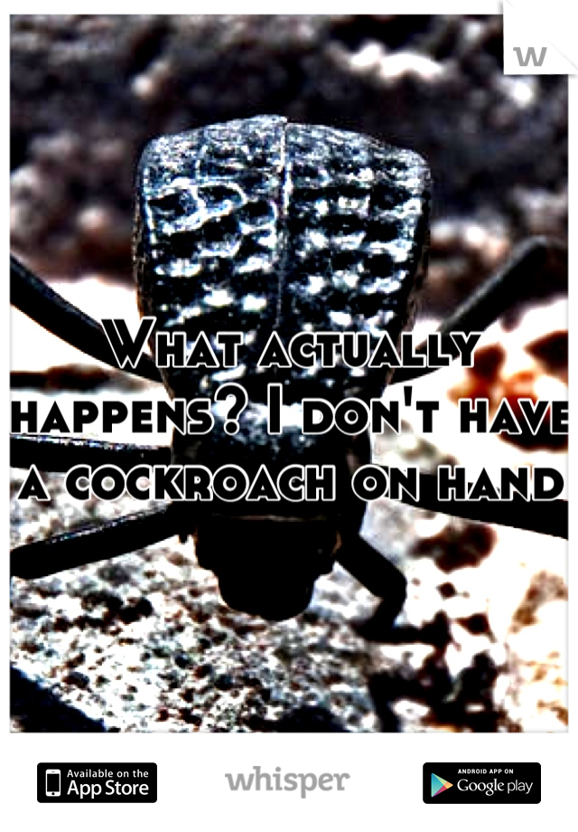 What actually happens? I don't have a cockroach on hand