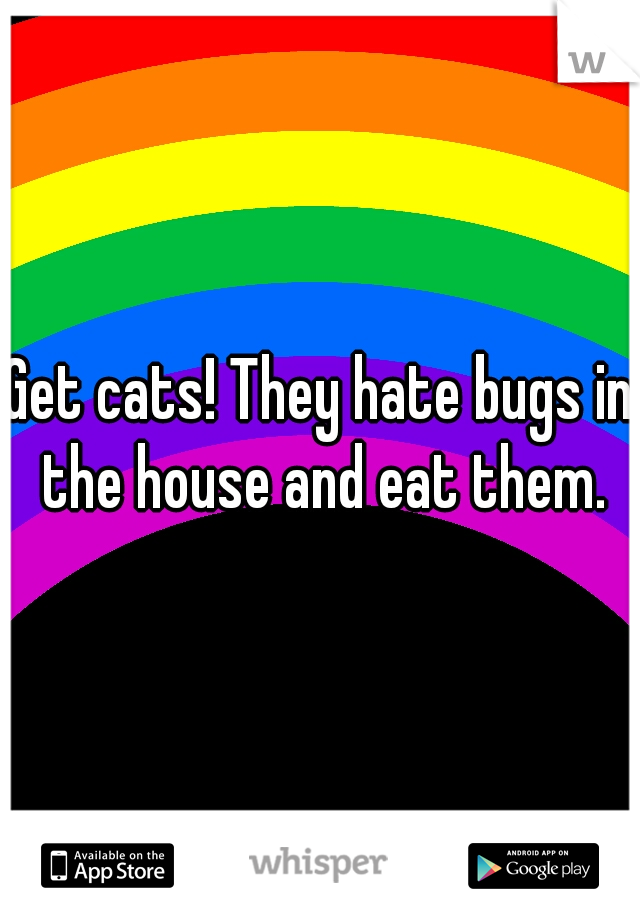 Get cats! They hate bugs in the house and eat them.