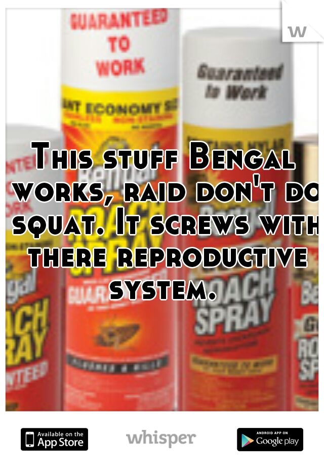 This stuff Bengal works, raid don't do squat. It screws with there reproductive system. 