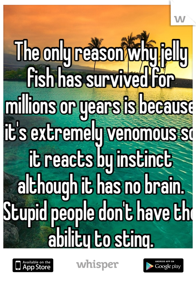 The only reason why jelly fish has survived for millions or years is because it's extremely venomous so it reacts by instinct although it has no brain. Stupid people don't have the ability to sting. 