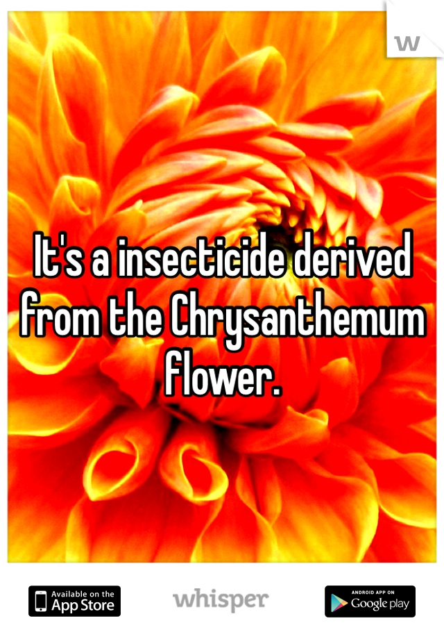 It's a insecticide derived from the Chrysanthemum flower.