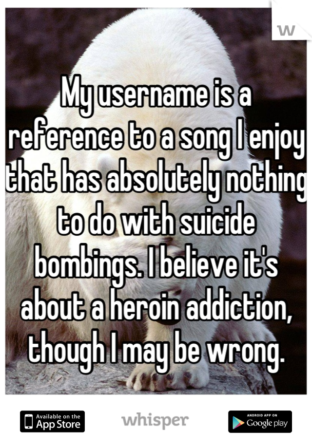 My username is a reference to a song I enjoy that has absolutely nothing to do with suicide bombings. I believe it's about a heroin addiction, though I may be wrong.