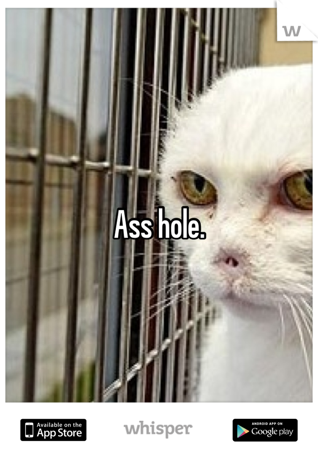 Ass hole.