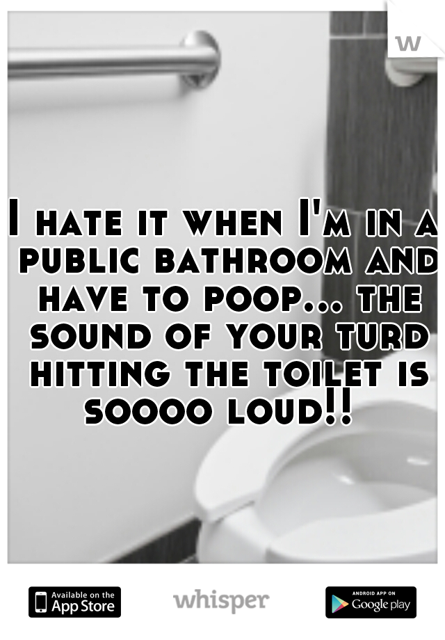 I hate it when I'm in a public bathroom and have to poop... the sound of your turd hitting the toilet is soooo loud!!
