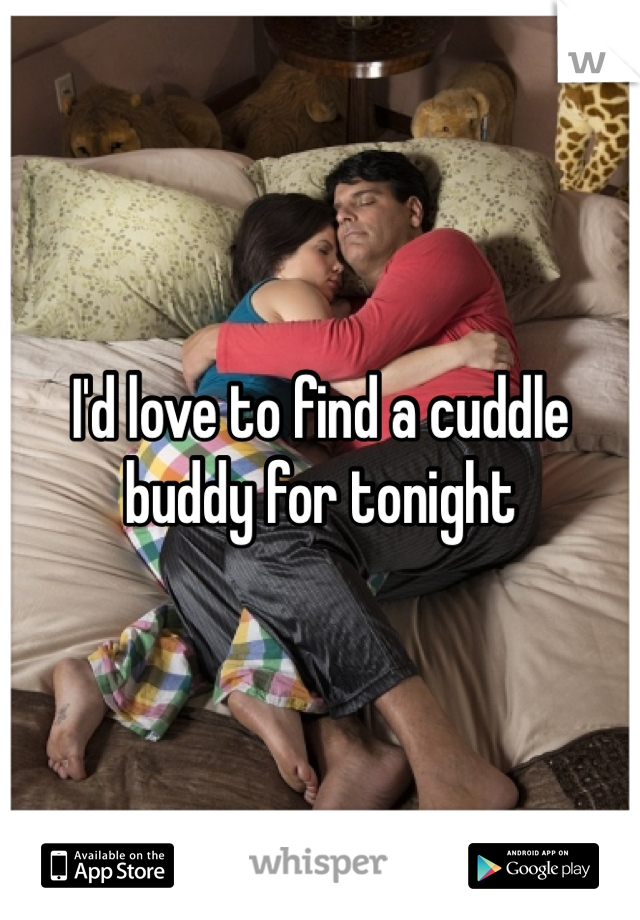 I'd love to find a cuddle buddy for tonight