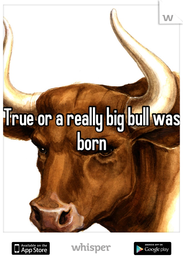 True or a really big bull was born
