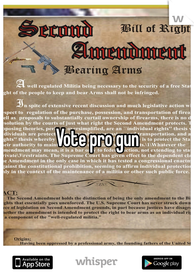 Vote pro gun