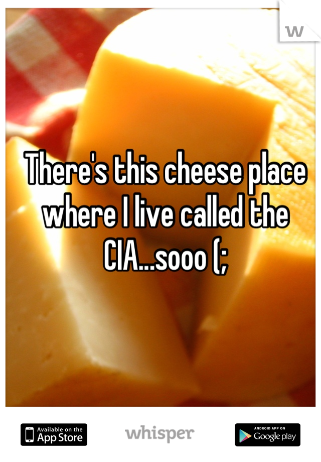 There's this cheese place where I live called the CIA...sooo (;