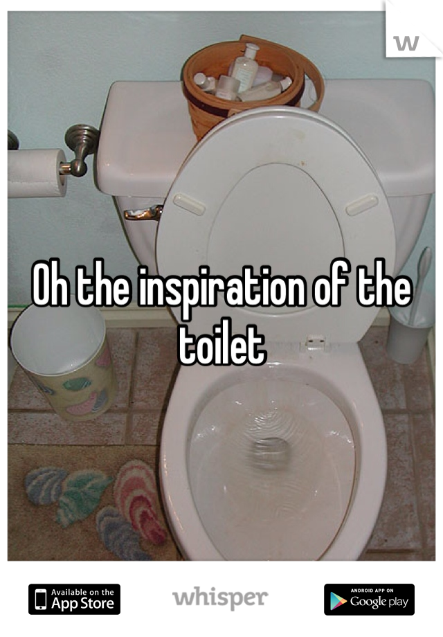 Oh the inspiration of the toilet