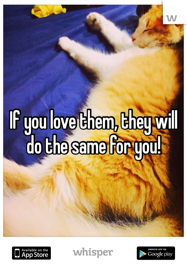 If you love them, they will do the same for you!