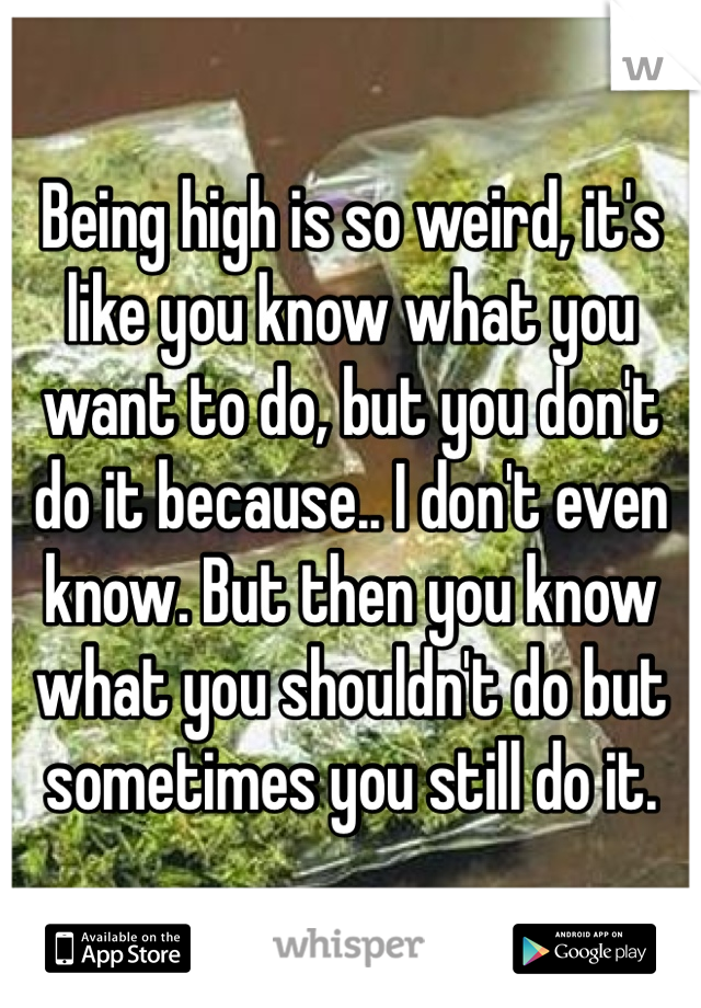 Being high is so weird, it's like you know what you want to do, but you don't do it because.. I don't even know. But then you know what you shouldn't do but sometimes you still do it.