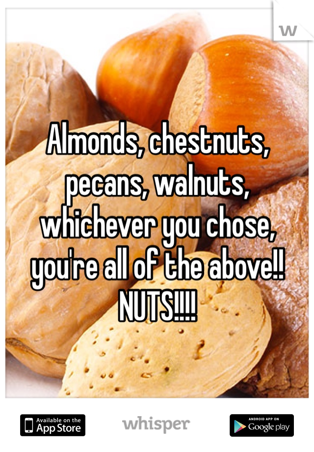 Almonds, chestnuts, pecans, walnuts, whichever you chose, you're all of the above!! NUTS!!!!