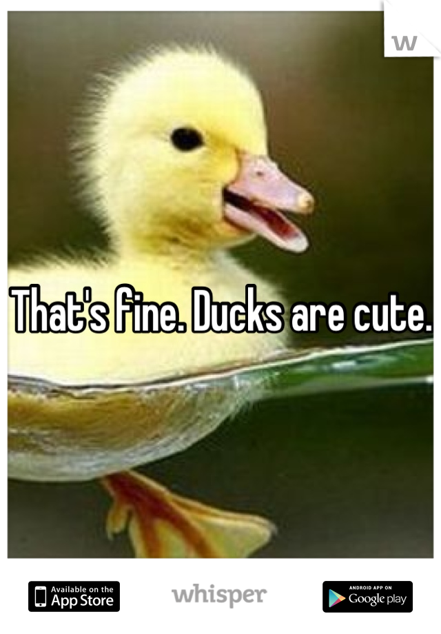 That's fine. Ducks are cute. 