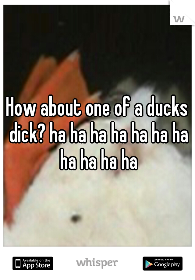 How about one of a ducks dick? ha ha ha ha ha ha ha ha ha ha ha