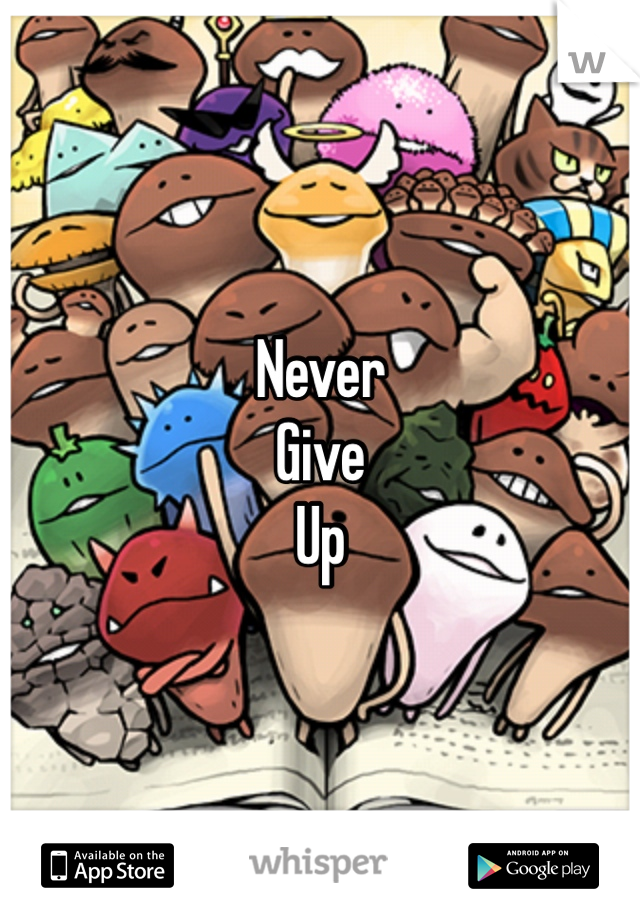 Never
Give 
Up