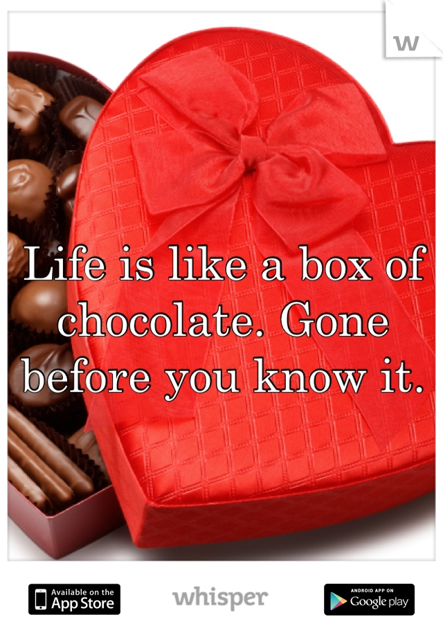 Life is like a box of chocolate. Gone before you know it. 