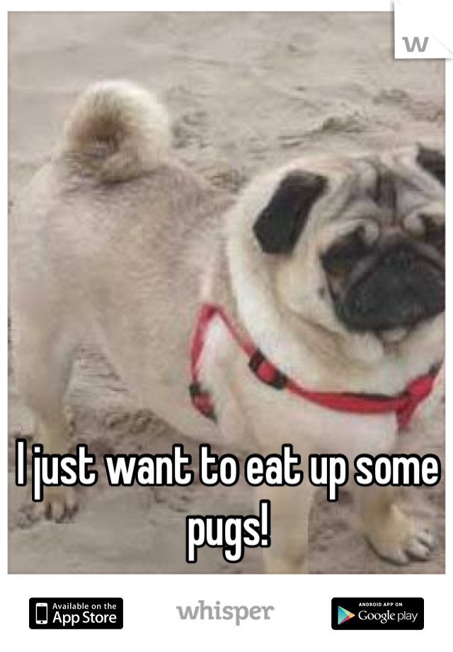 I just want to eat up some pugs!