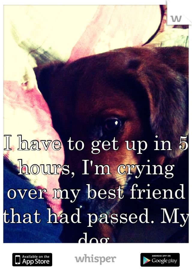 I have to get up in 5 hours, I'm crying over my best friend that had passed. My dog.