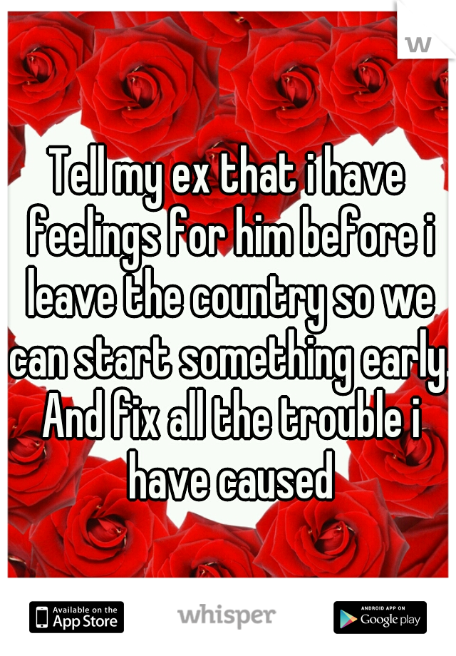 Tell my ex that i have feelings for him before i leave the country so we can start something early. And fix all the trouble i have caused