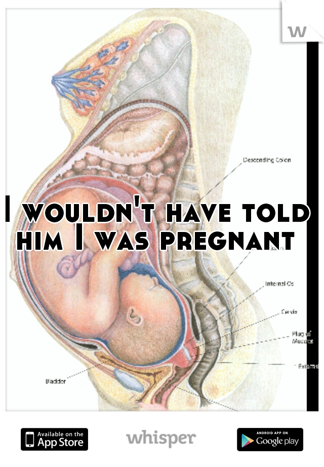 I wouldn't have told him I was pregnant 