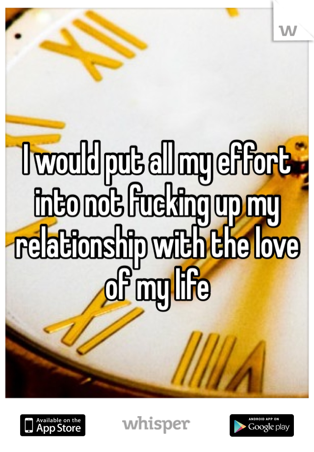 I would put all my effort into not fucking up my relationship with the love of my life