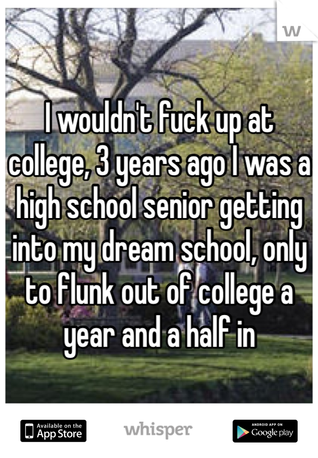 I wouldn't fuck up at college, 3 years ago I was a high school senior getting into my dream school, only to flunk out of college a year and a half in