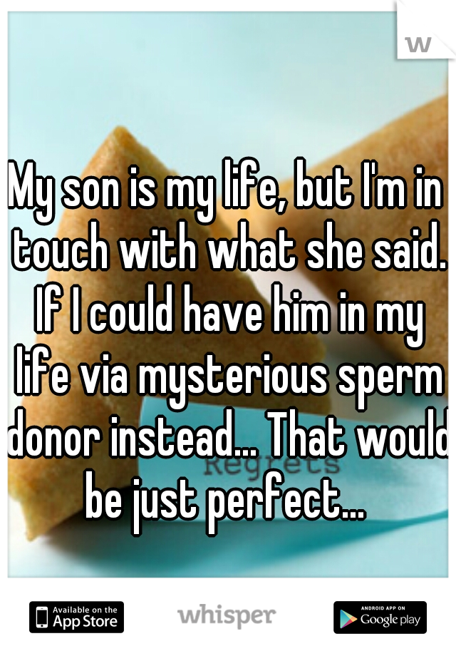 My son is my life, but I'm in touch with what she said. If I could have him in my life via mysterious sperm donor instead... That would be just perfect... 
