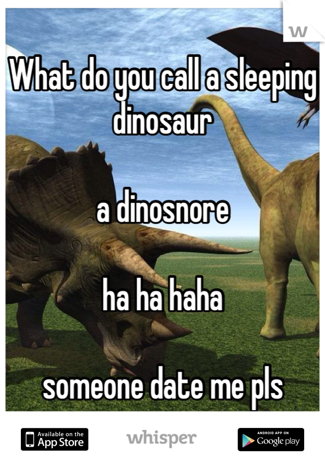 What do you call a sleeping dinosaur    

a dinosnore     

ha ha haha    

someone date me pls
