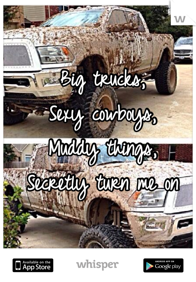 Big trucks,
Sexy cowboys, 
Muddy things, 
Secretly turn me on 