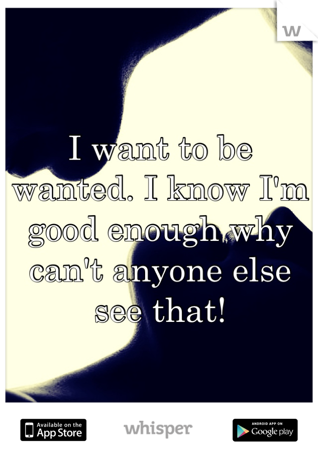 I want to be wanted. I know I'm good enough why can't anyone else see that!
