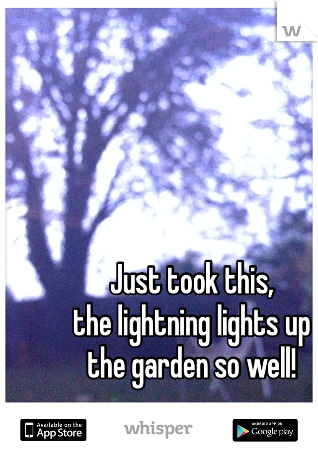 Just took this,
the lightning lights up
the garden so well!