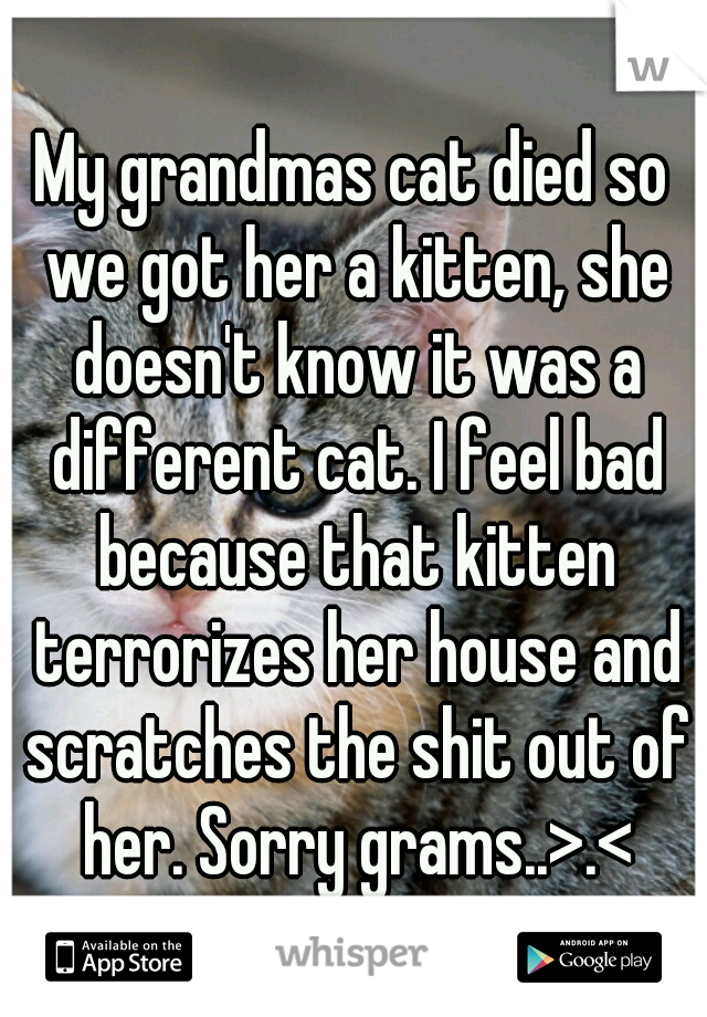My grandmas cat died so we got her a kitten, she doesn't know it was a different cat. I feel bad because that kitten terrorizes her house and scratches the shit out of her. Sorry grams..>.<