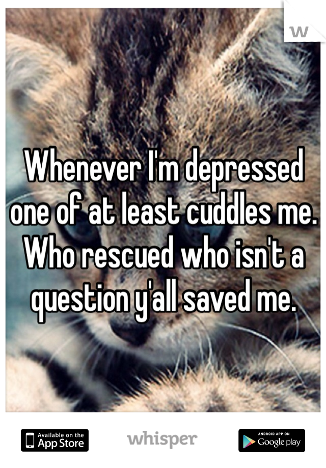 Whenever I'm depressed one of at least cuddles me. Who rescued who isn't a question y'all saved me.