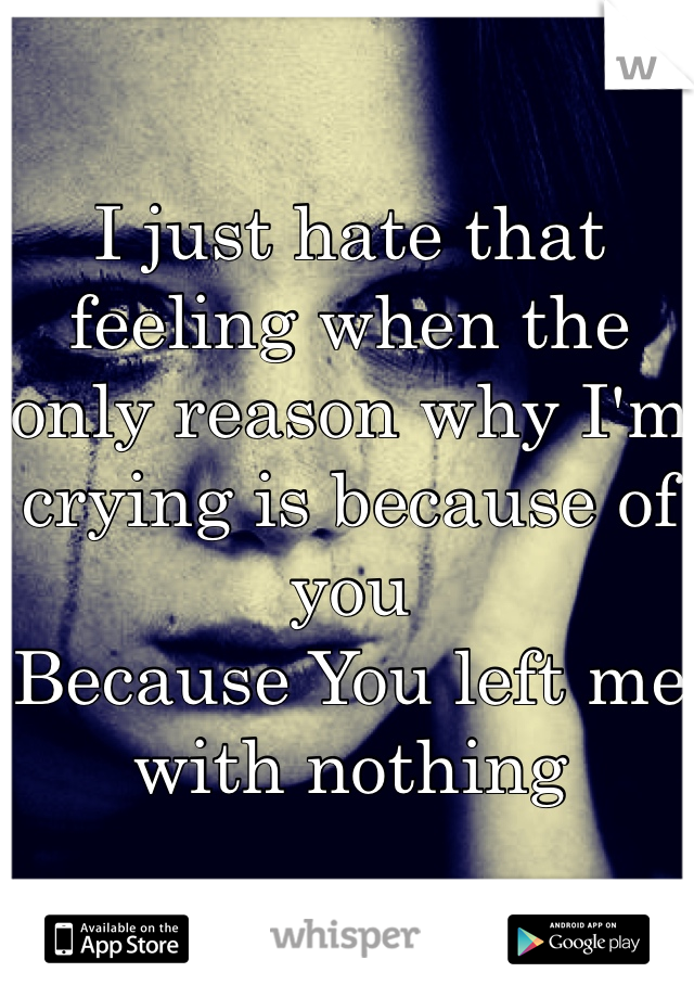 I just hate that feeling when the only reason why I'm crying is because of you 
Because You left me with nothing