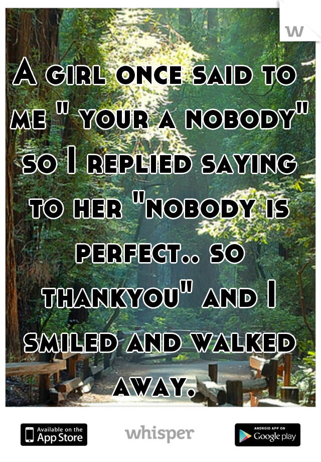 A girl once said to me " your a nobody" so I replied saying to her "nobody is perfect.. so thankyou" and I smiled and walked away. 