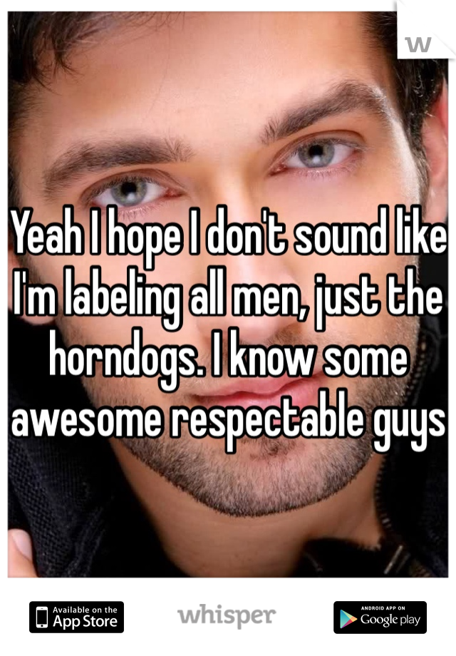 Yeah I hope I don't sound like I'm labeling all men, just the horndogs. I know some awesome respectable guys