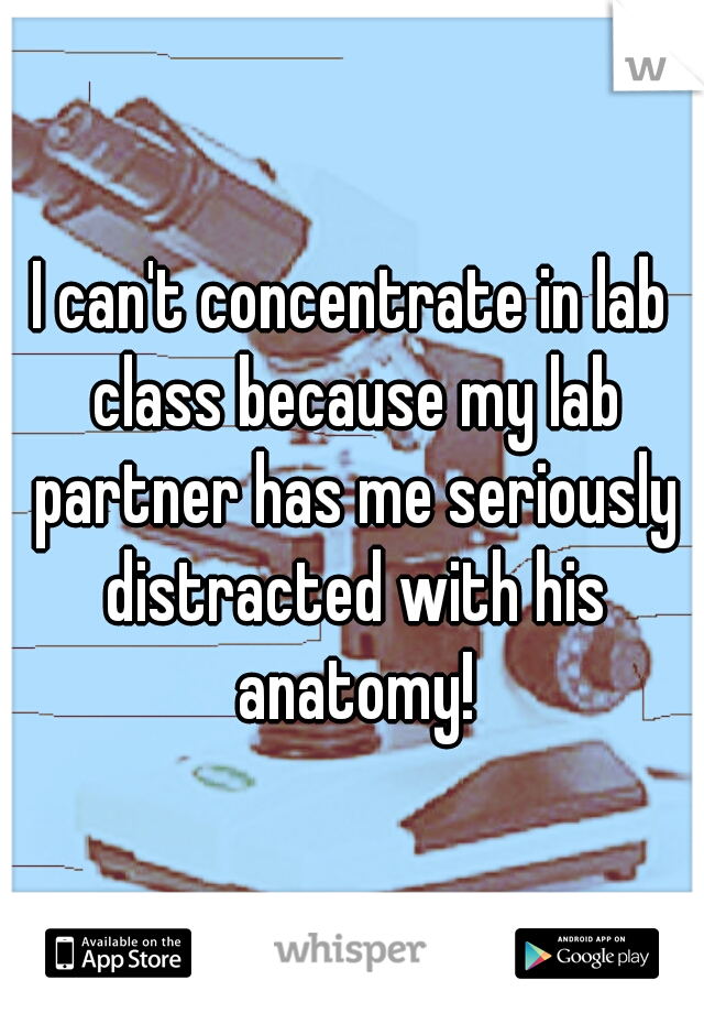 I can't concentrate in lab class because my lab partner has me seriously distracted with his anatomy!