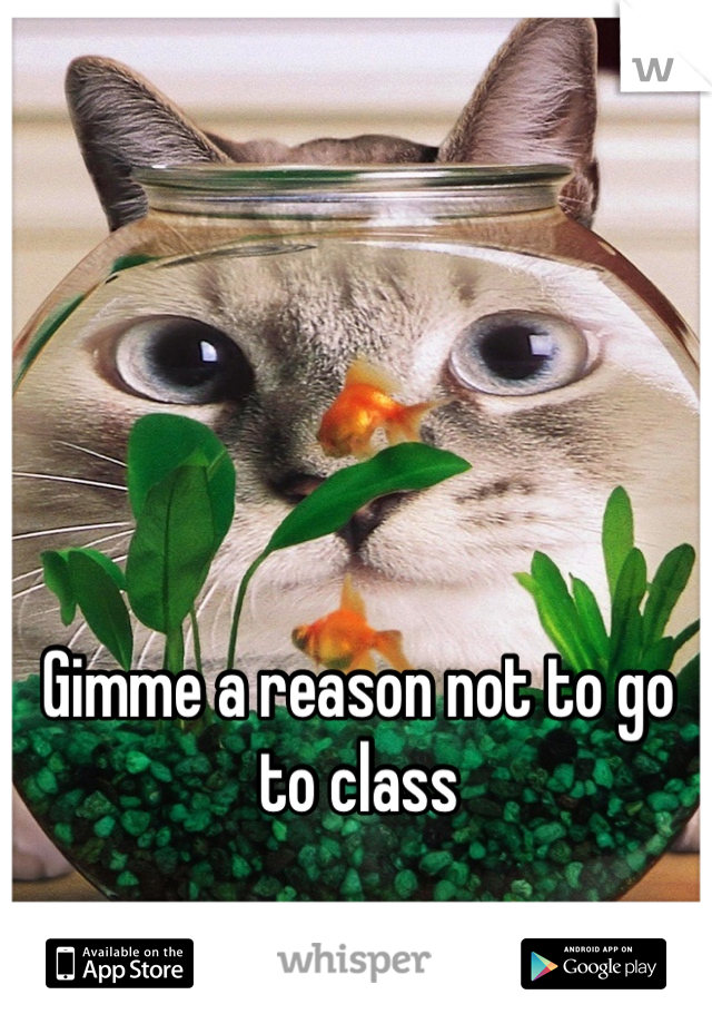 Gimme a reason not to go to class