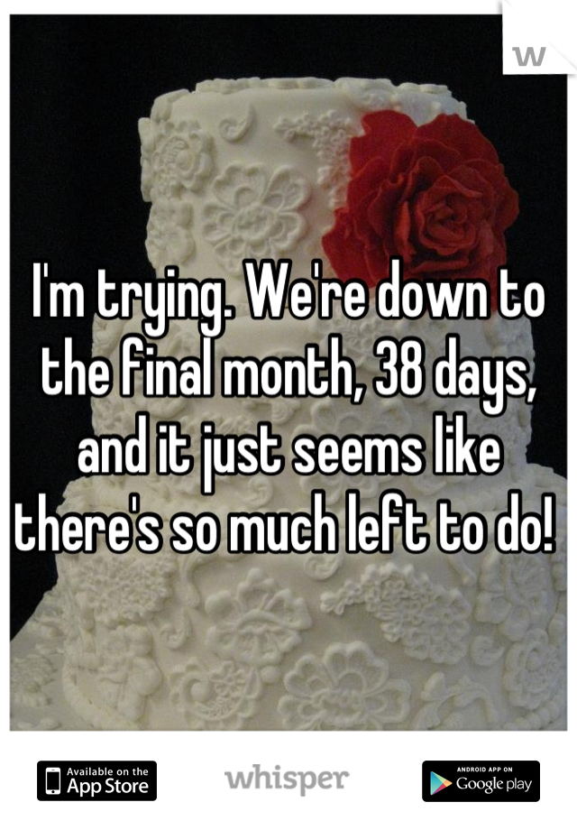I'm trying. We're down to the final month, 38 days, and it just seems like there's so much left to do! 