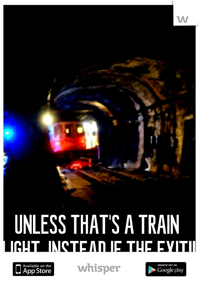 UNLESS THAT'S A TRAIN LIGHT, INSTEAD IF THE EXIT!!!