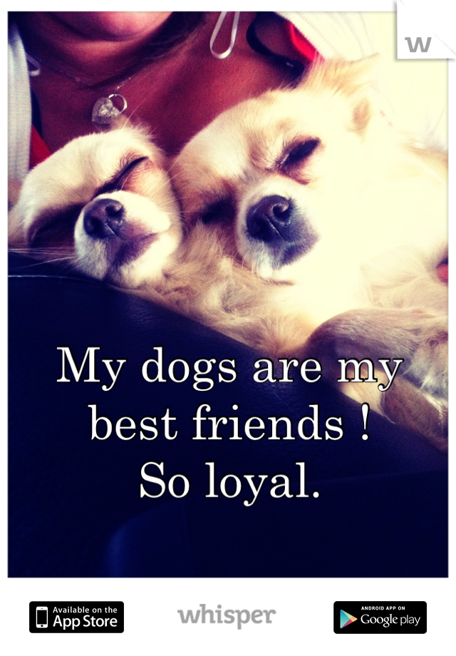 My dogs are my best friends !
So loyal.