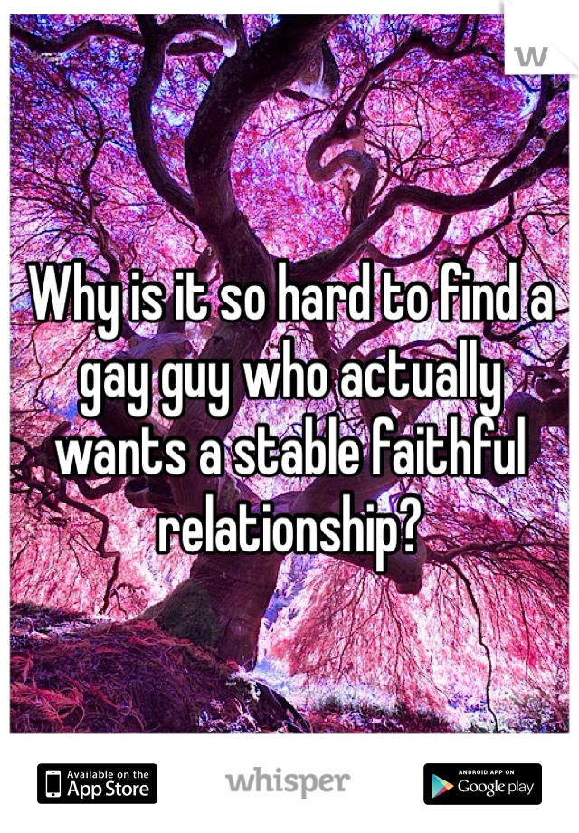 Why is it so hard to find a gay guy who actually wants a stable faithful relationship?