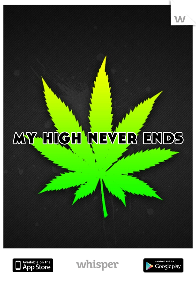 my high never ends