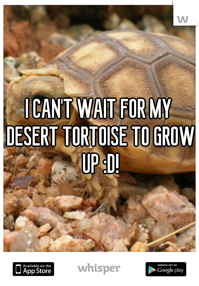 I CAN'T WAIT FOR MY DESERT TORTOISE TO GROW UP :D!